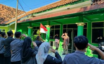 Apel 29